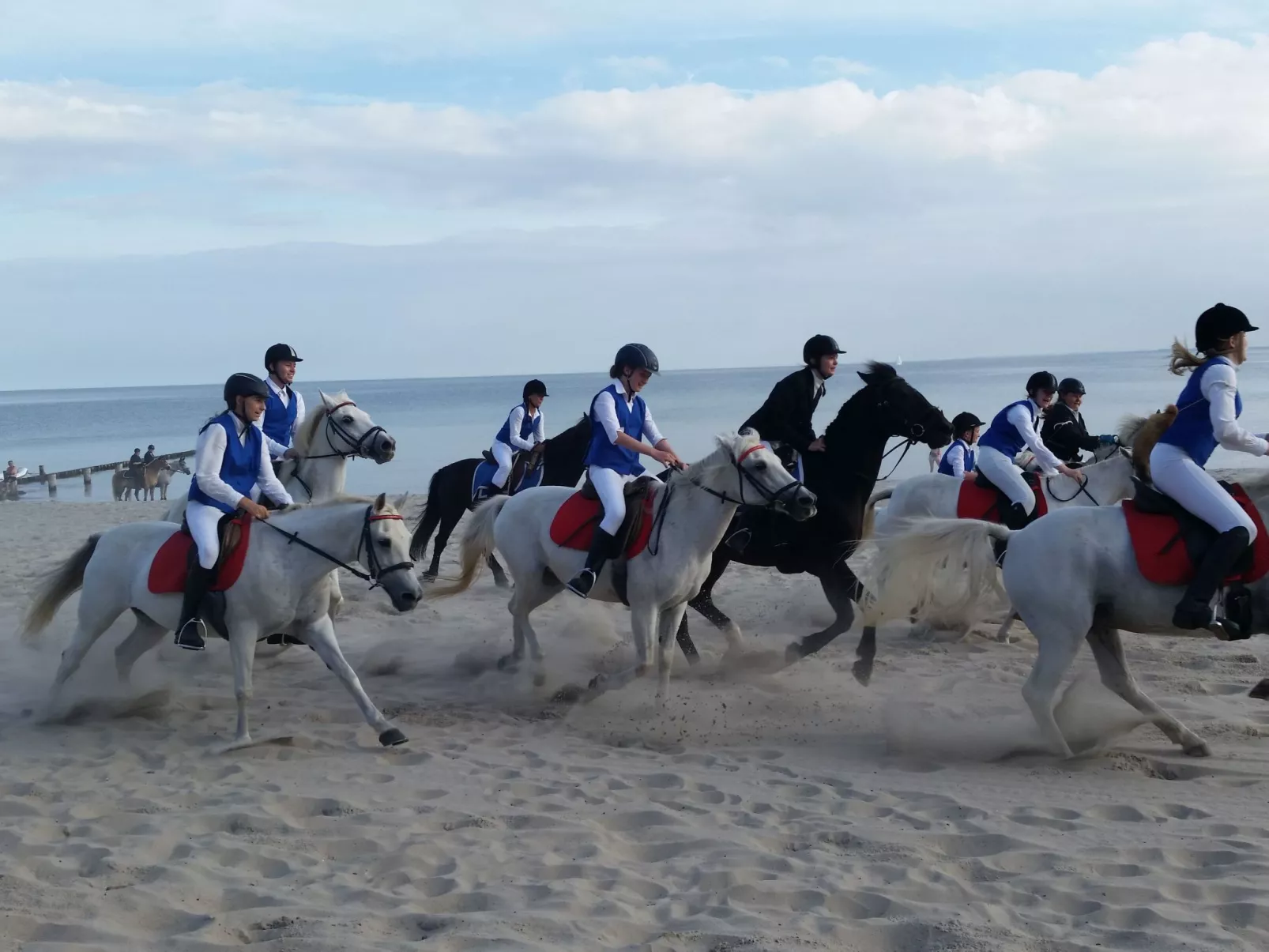 Appartement in Kellenhusen mit Großer Terrasse-Image-tags.info