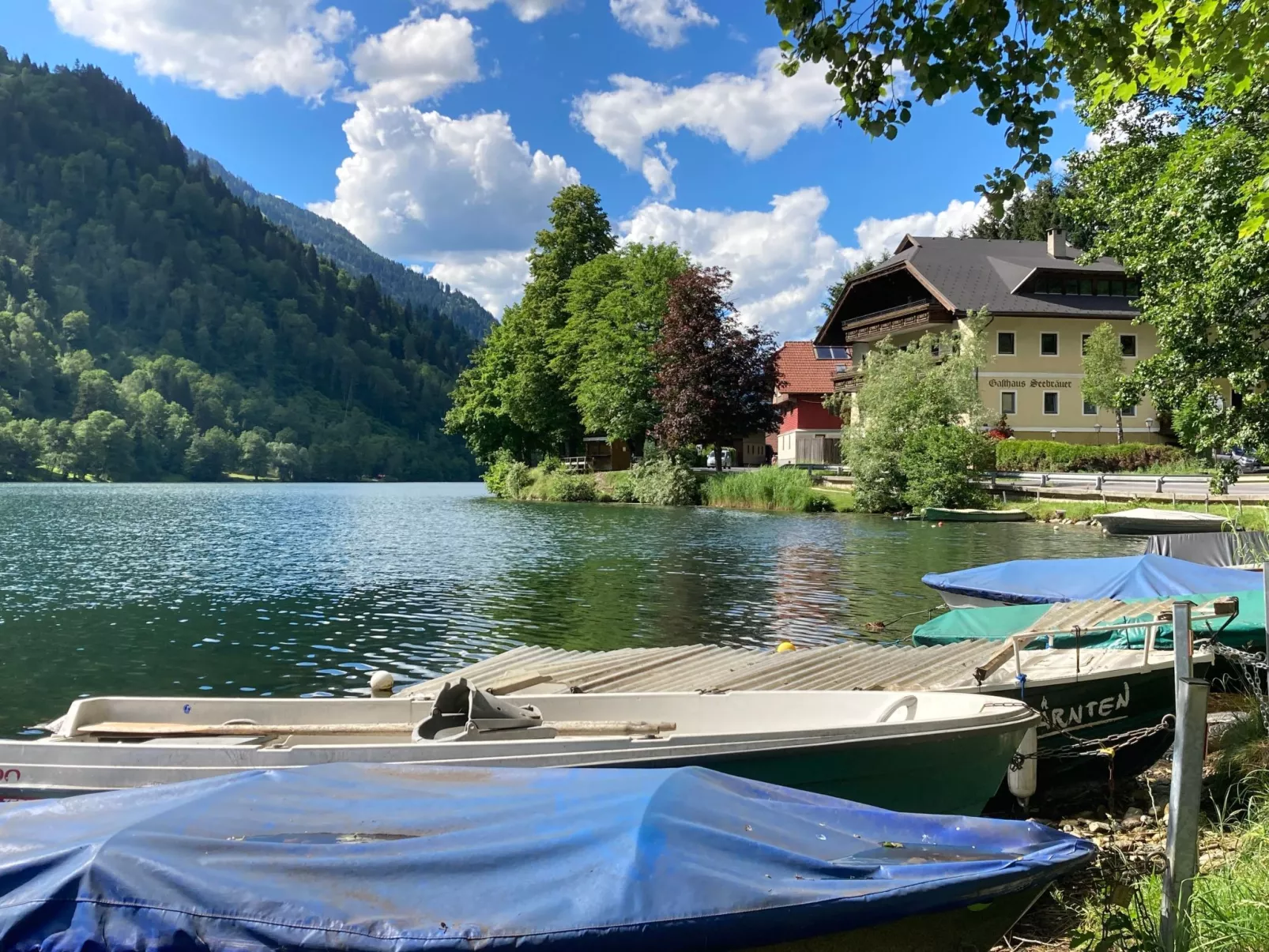 Im Haus Seebrauer in Feld am See-Outside