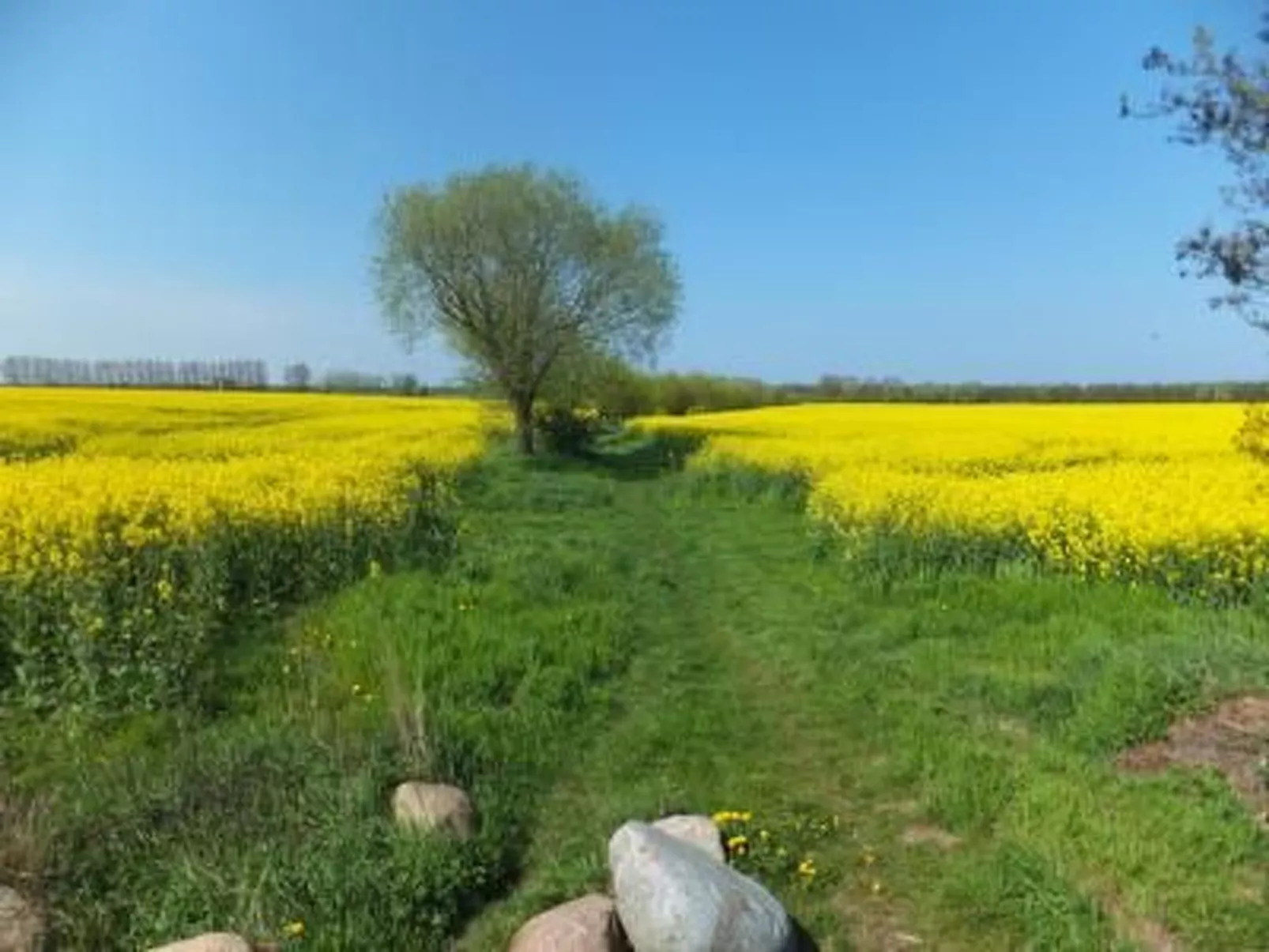 Ferienwohnung-Drinnen