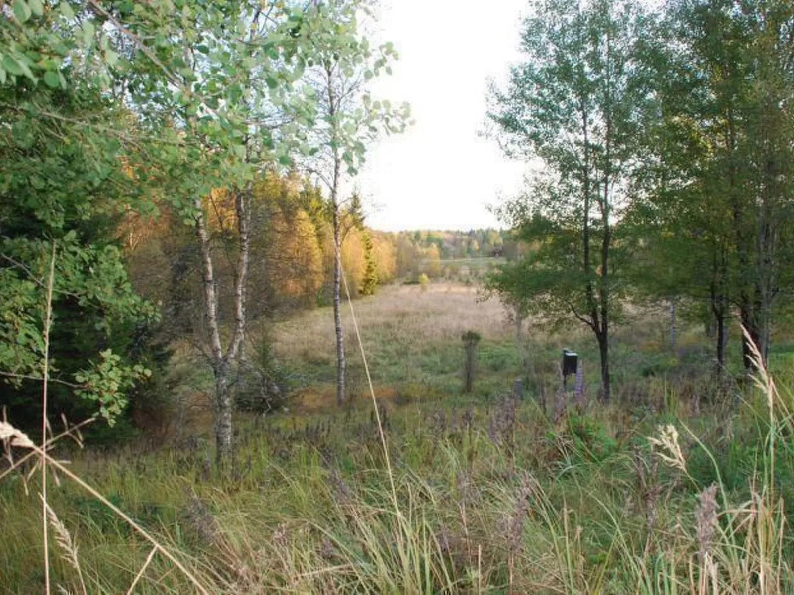 Idyllisch gelegenes, ebenerdiges Haus mit Terrasse-Drinnen