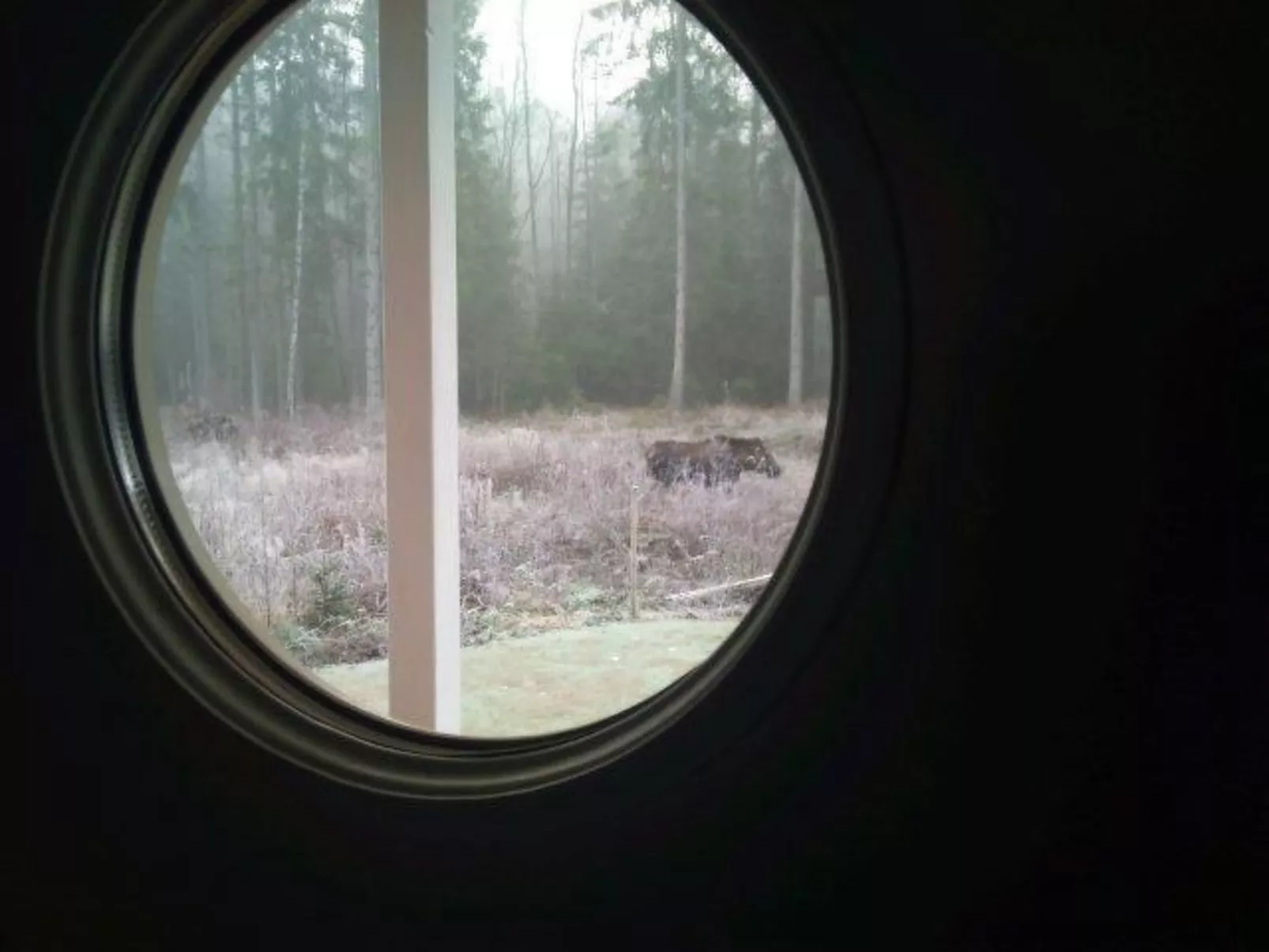 Modernes Haus mit hellem Dekor, mit Blick auf den See-Inside