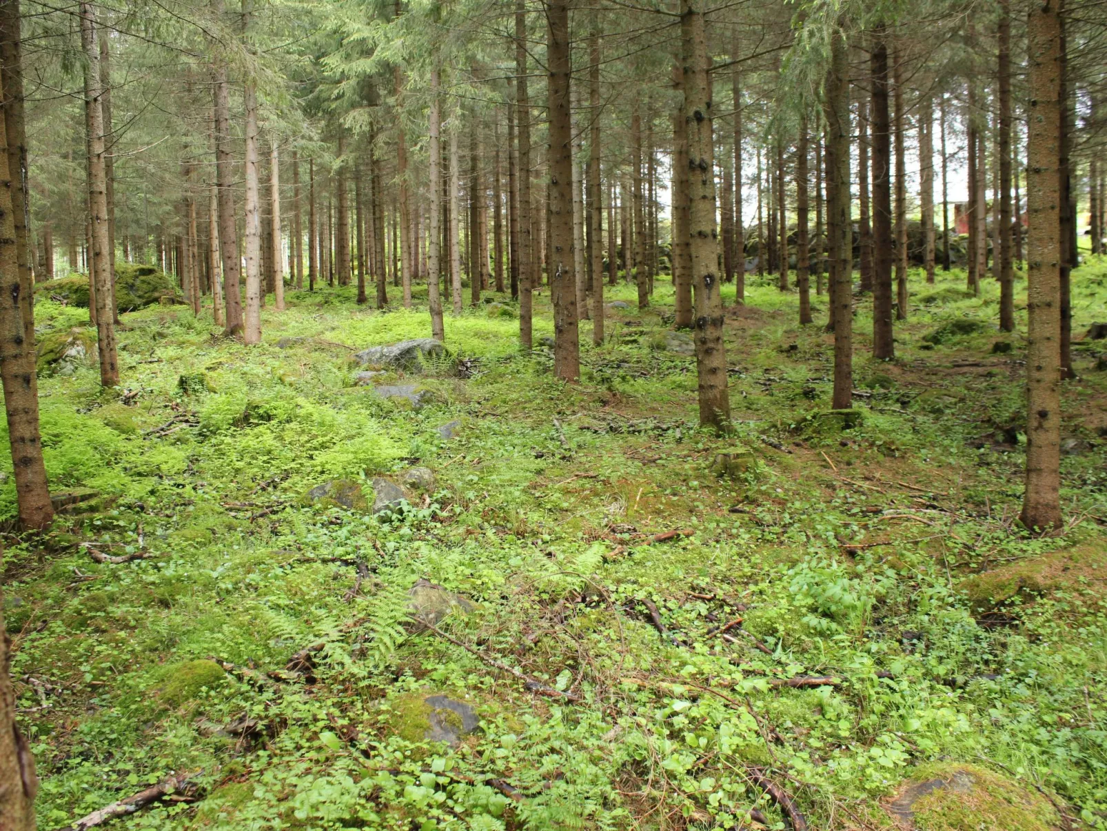 Anwesen mit eigenem Garten und Grill-Outside