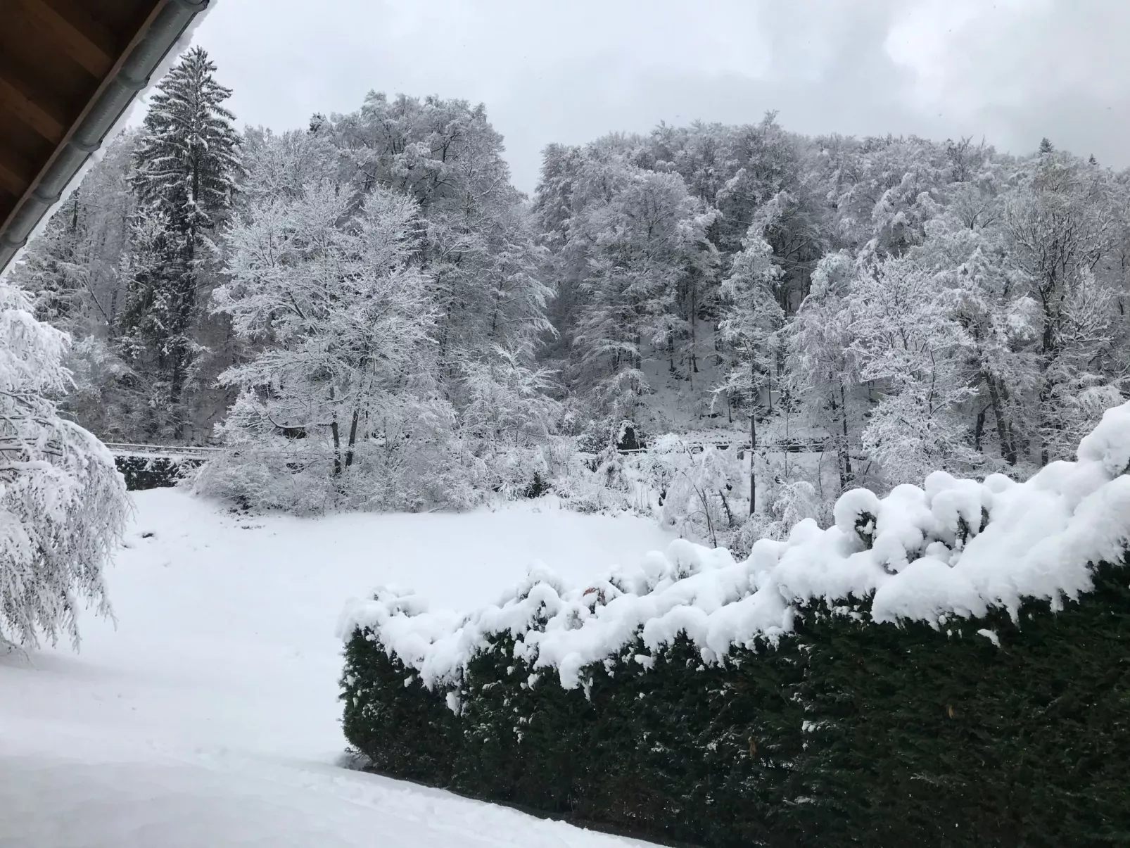 Chalet Tripfi-Inside