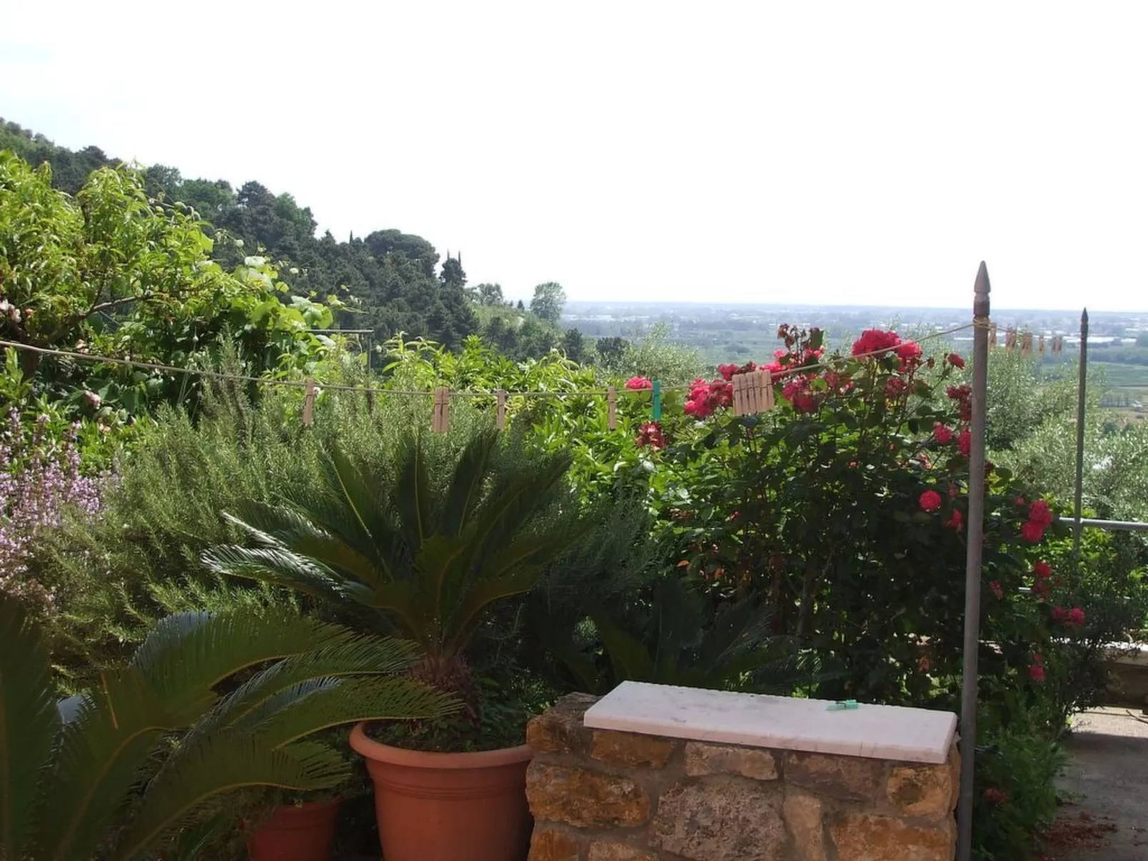 In panoramischer Lage-Outside