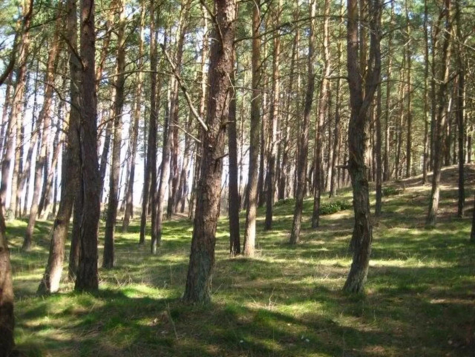 Mit Meerblick-Inside