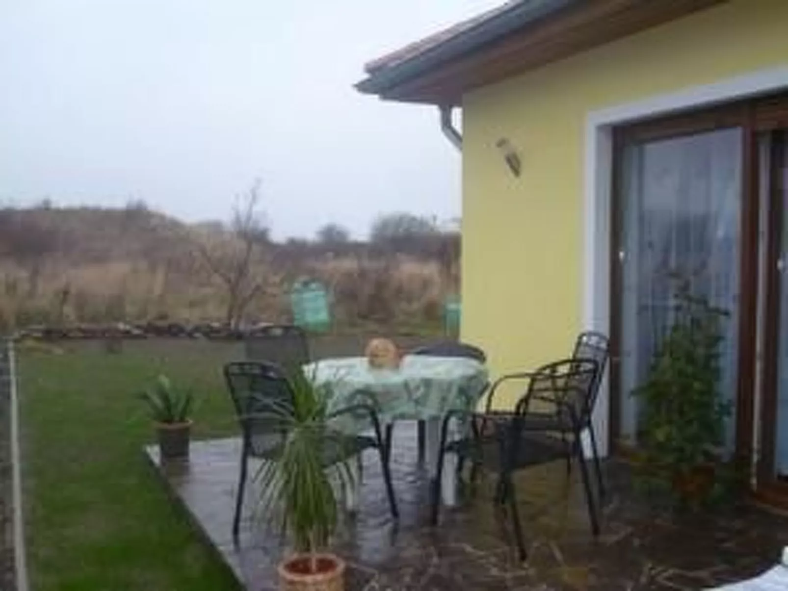 Moderne Erdgeschosswohnung mit Blick auf Hiddensee-Dedans