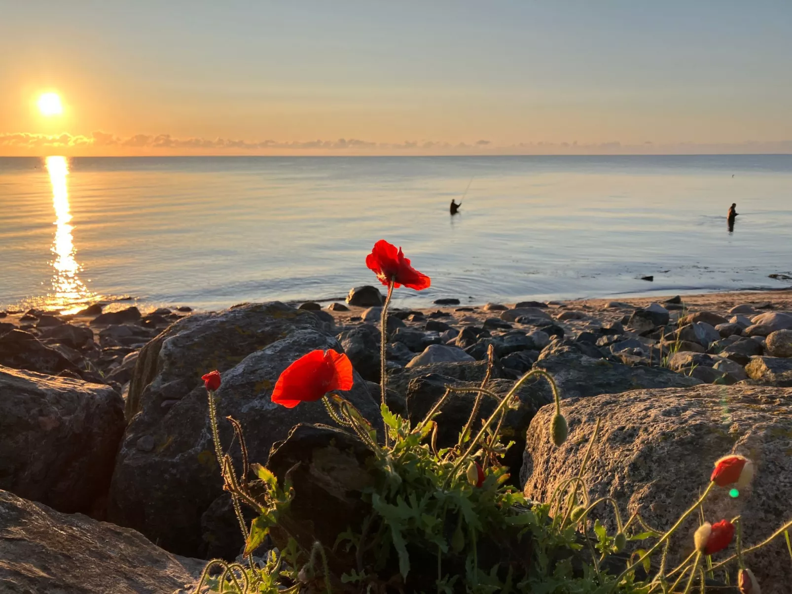 Wohnung Haus mit Herz in Brodersby-Schönhagen-Outside