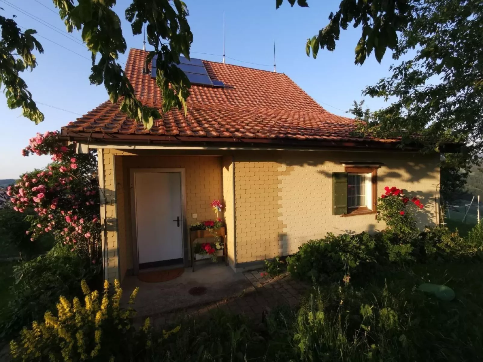 Tiererlebnishof Windegg-Draußen