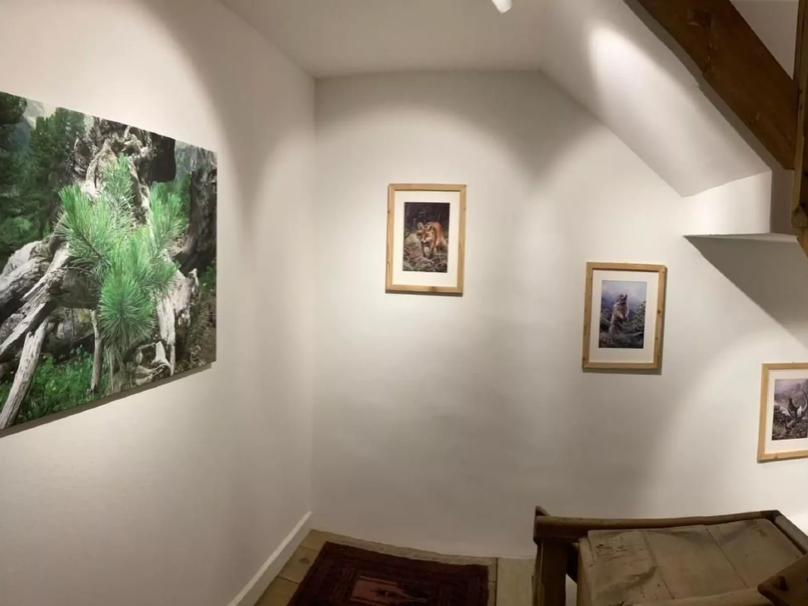 Chesa Robbi S-chanf-Inside