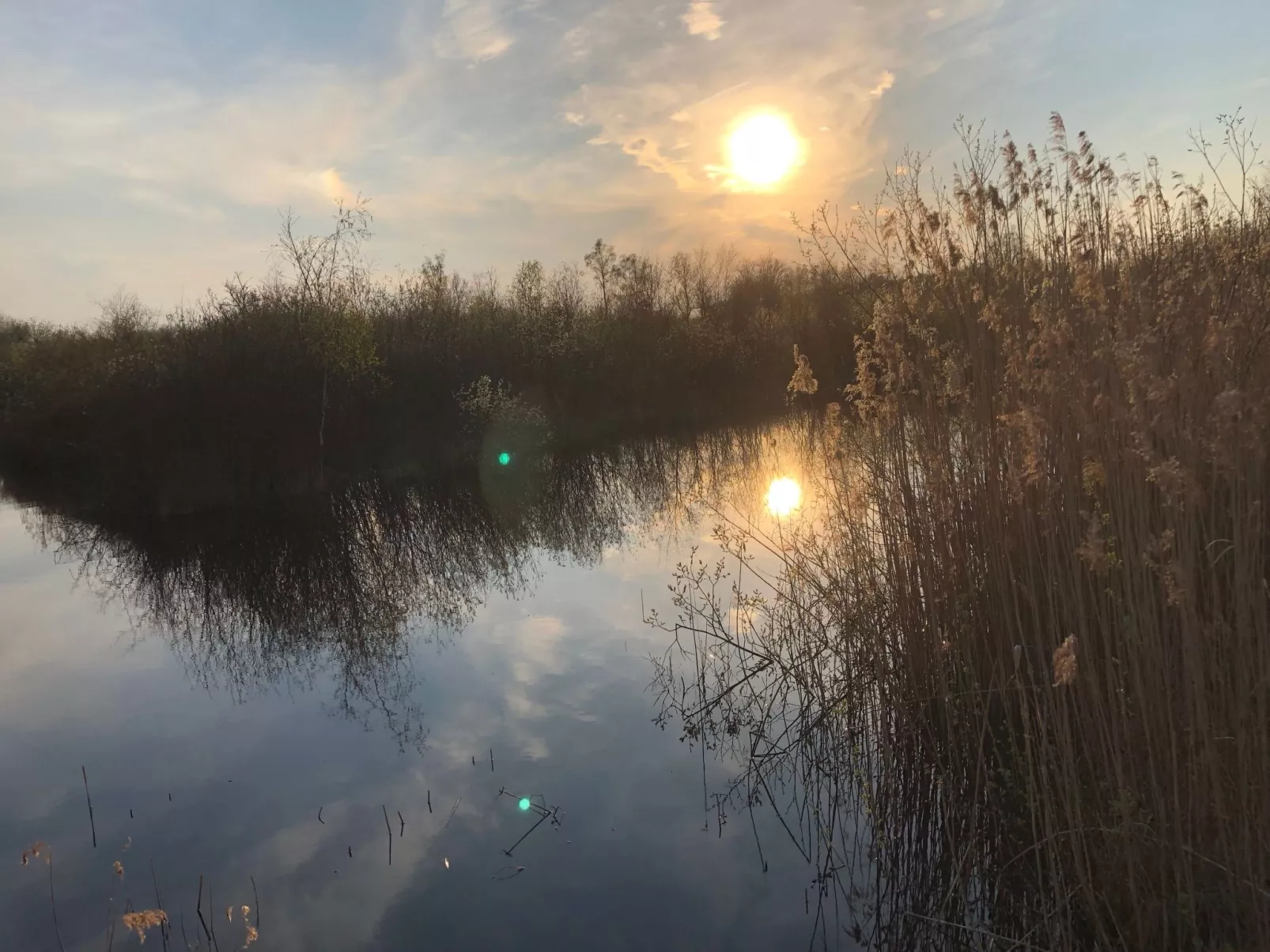 Geräumiges Ferienhaus mitten im Wald-Dehors