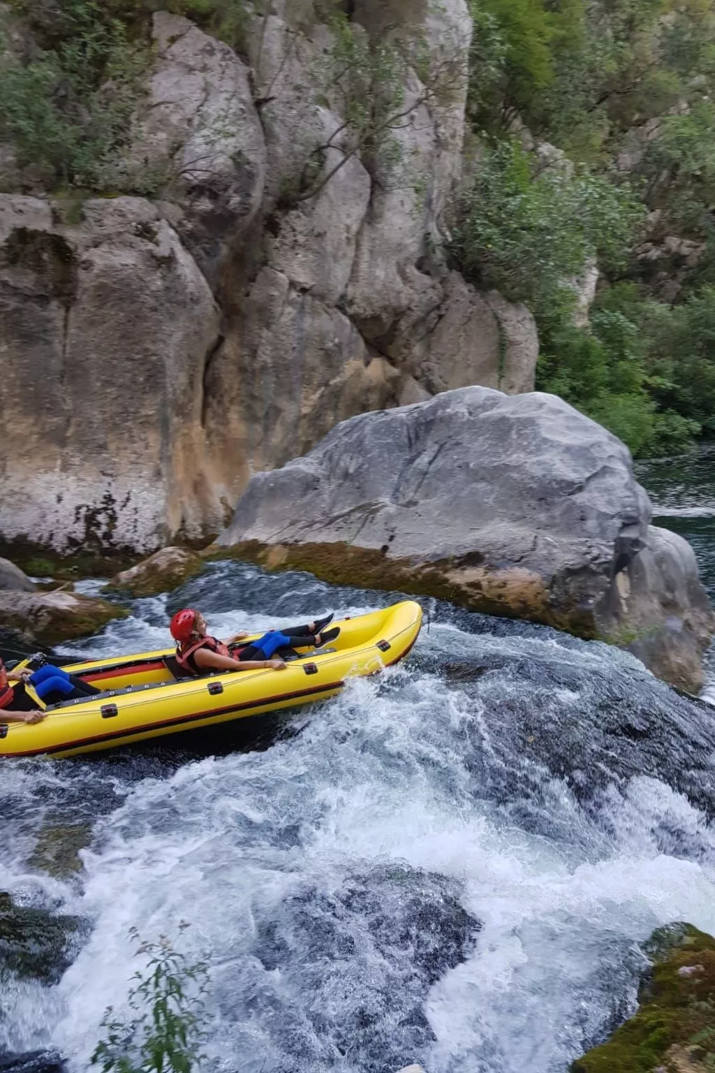 La Finca OliveTree-Outside
