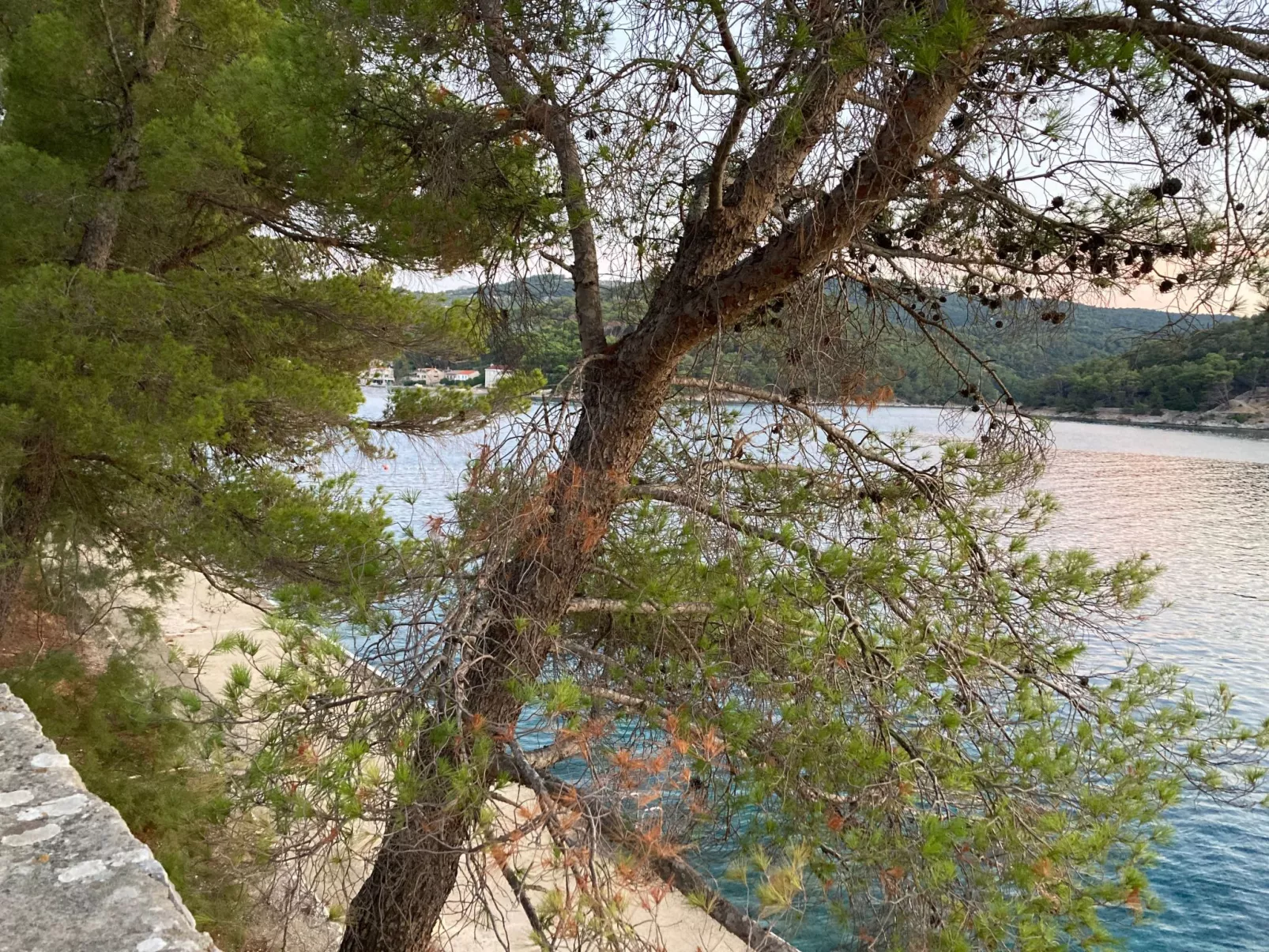 Wohnung in Povlja mit privatem Parkplatz-Dehors