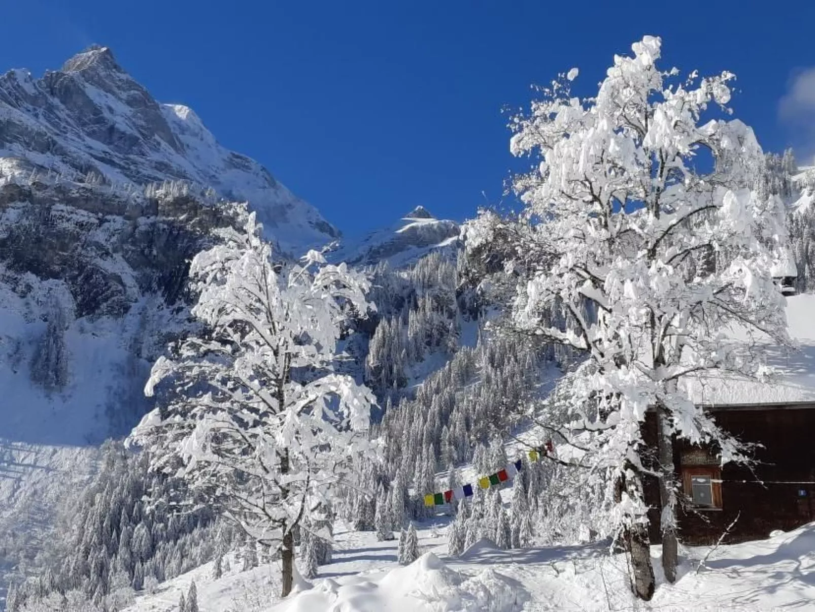 Rietberg 8 Braunwald-Draußen