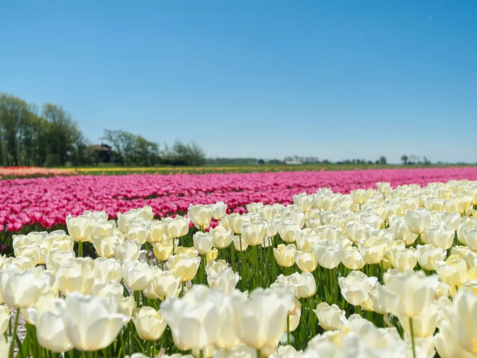 De Korre 2 in Callantsoog-Dedans