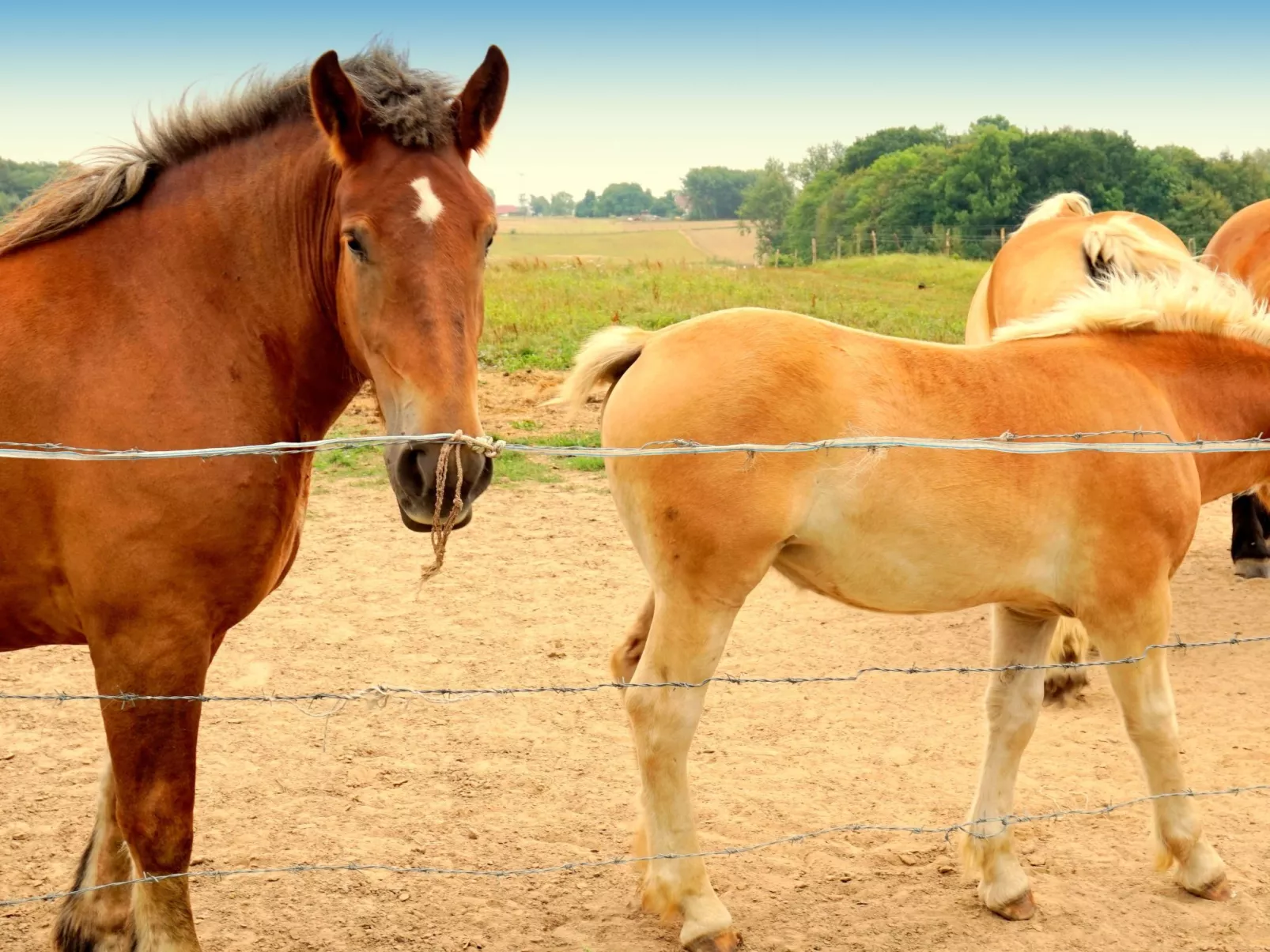 "Verano" mit Privatparkplatz-Draußen