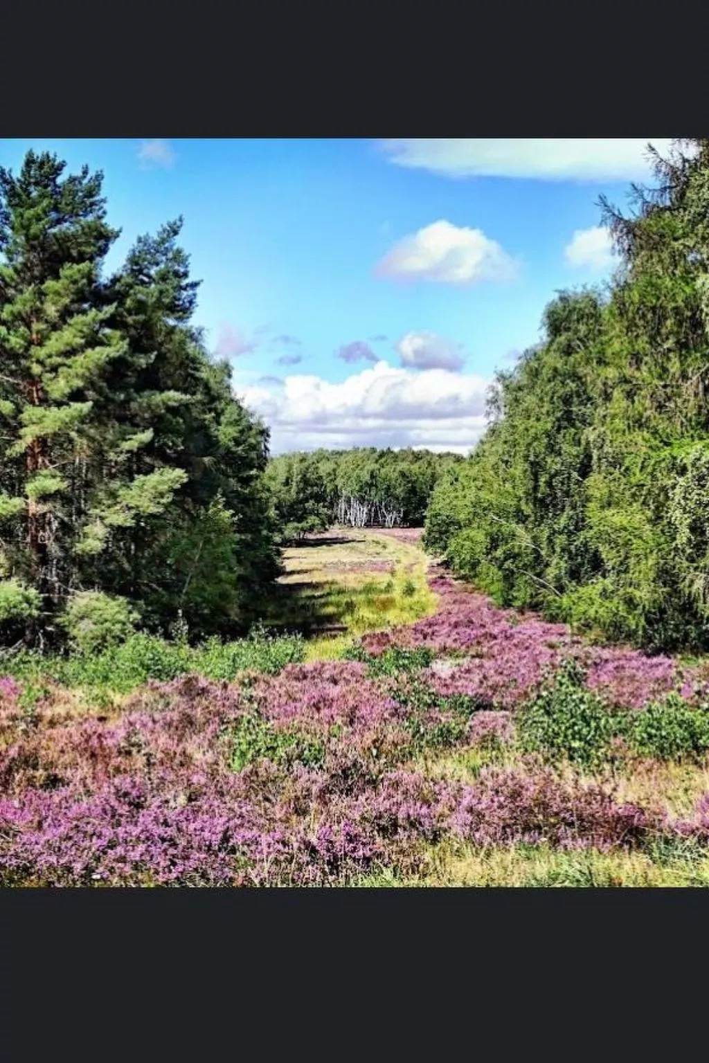 Haus-Fernblick-Inside