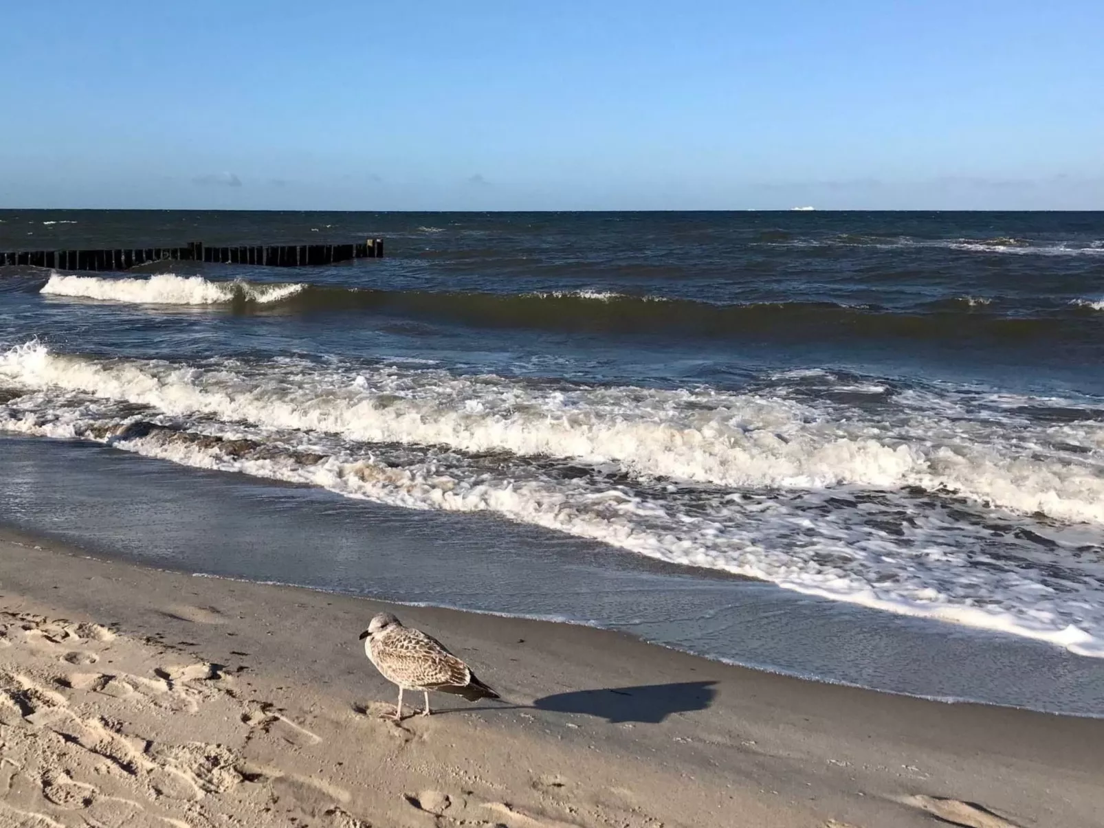 Wiesenblick 5-Inside