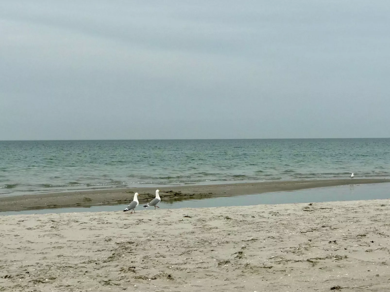 Wiesenblick 2-Inside