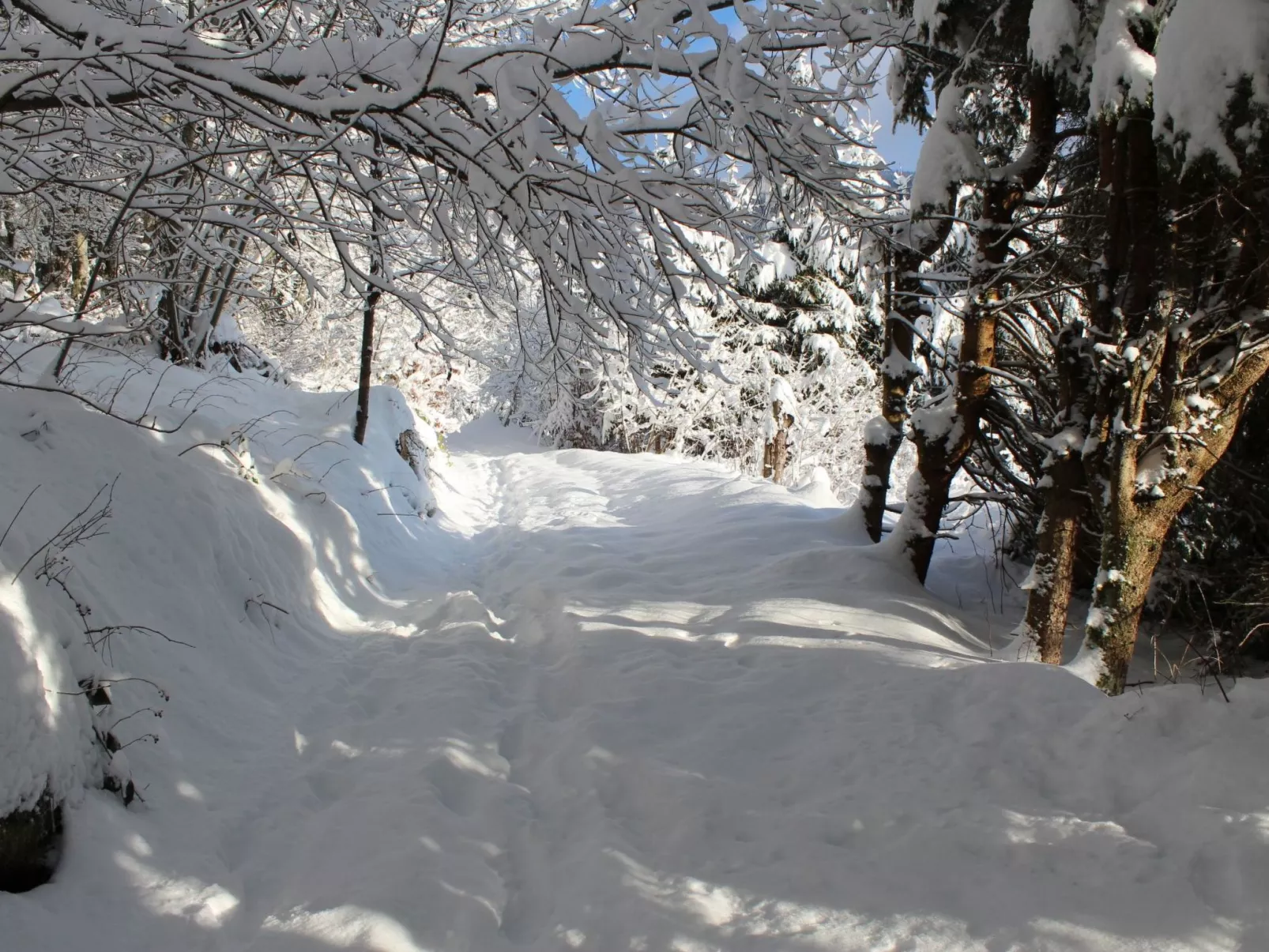 Haus Maria Hochschwarzwald, Garten umzäunt, Waldrand, Hunde willkommen-Dedans
