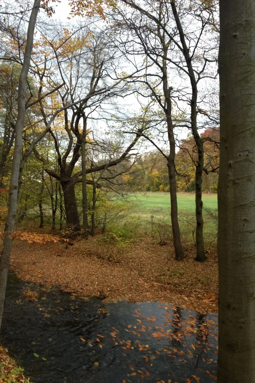 Gemütliche Ferienwohnung für die ganze Familie-Dedans