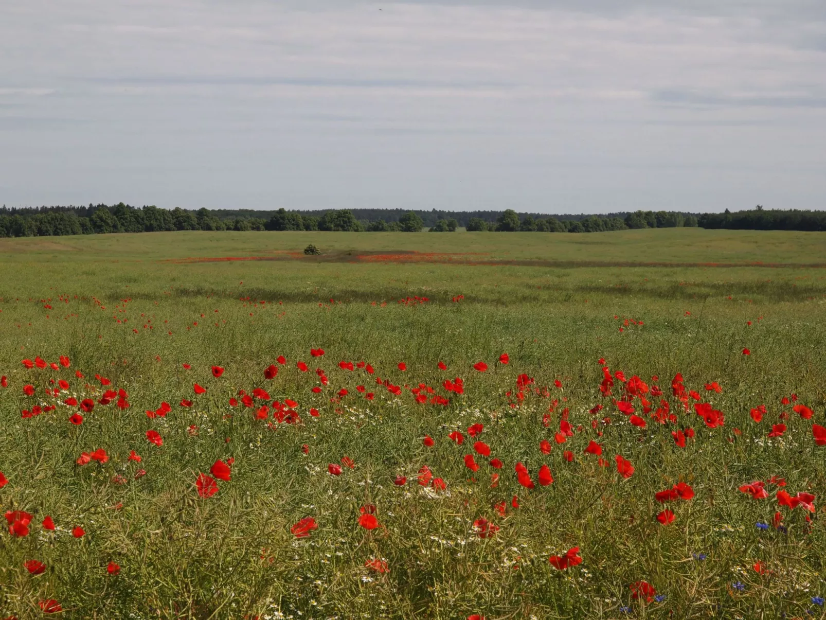 In idylischer Lage-Drinnen