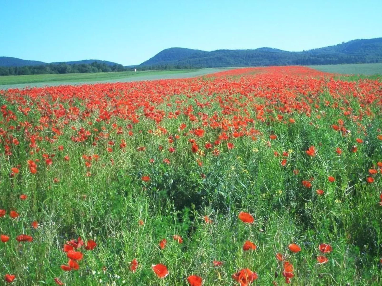 Fewo Stricker 33-Image-tags.info