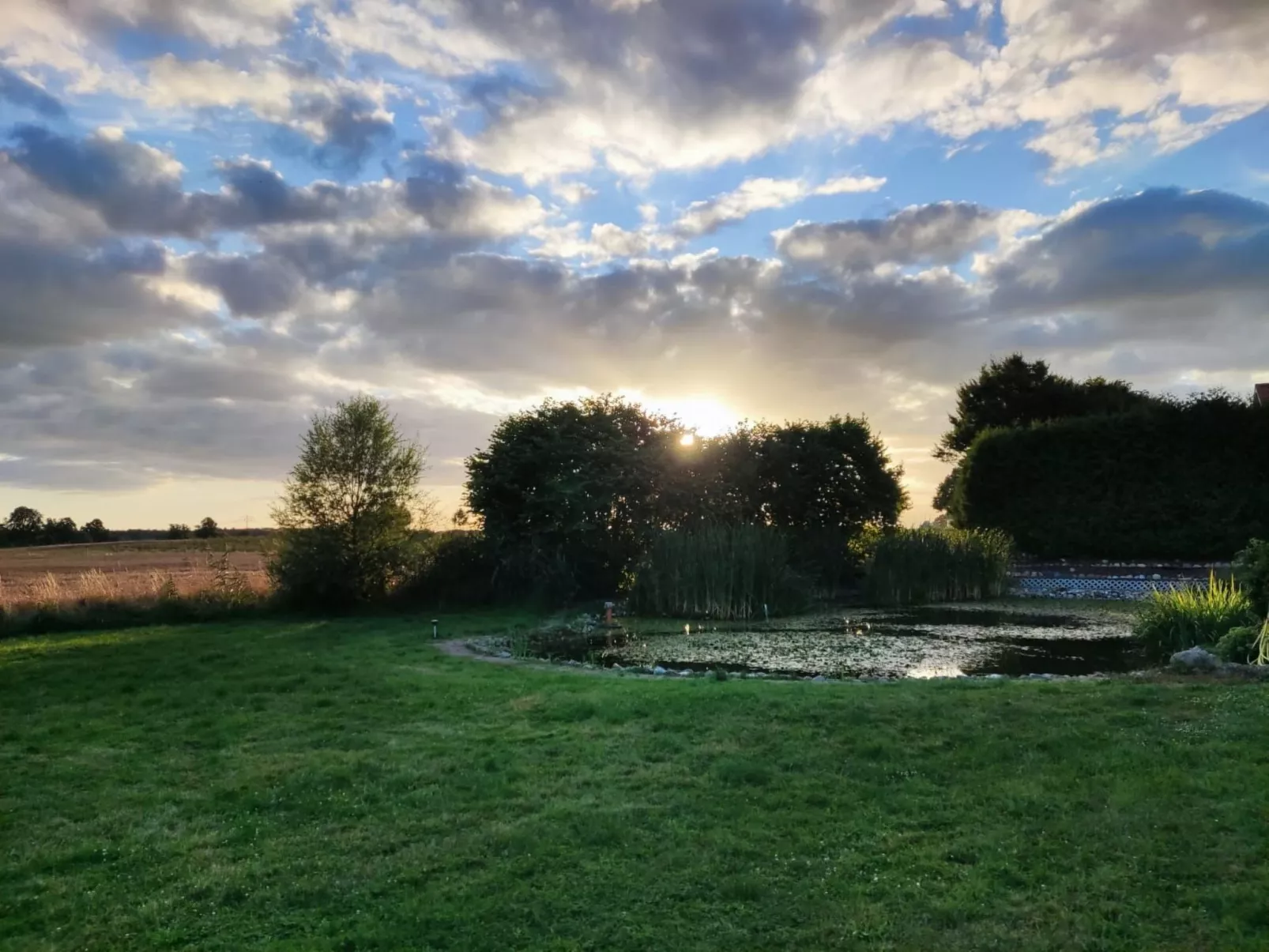 Mit Terrasse-Draußen