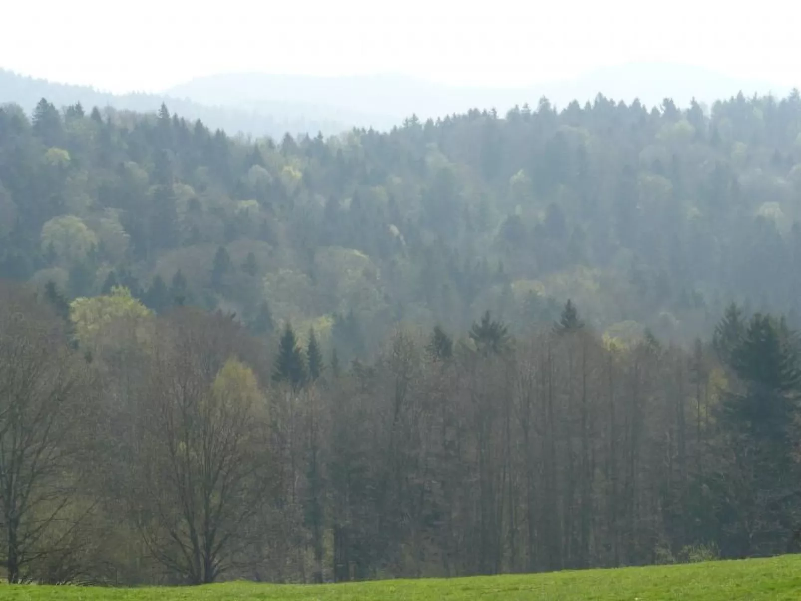 Keller-Image-tags.info