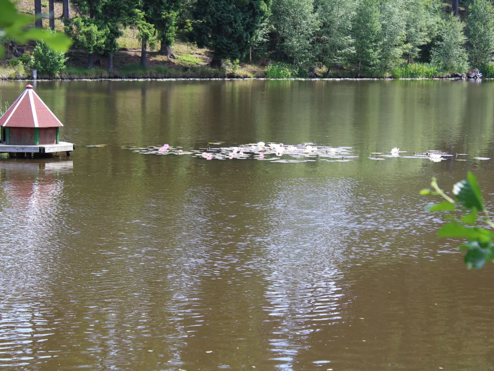 Blauvogel - 6 Pers.-Dedans