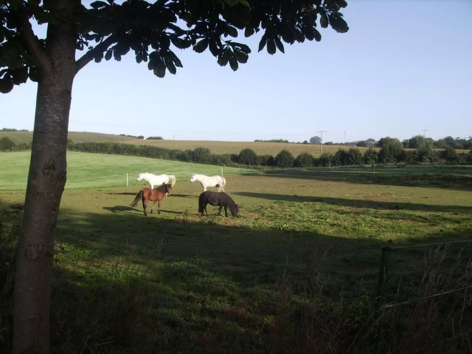 Hof Rodenkrog Fewo 1-Dehors