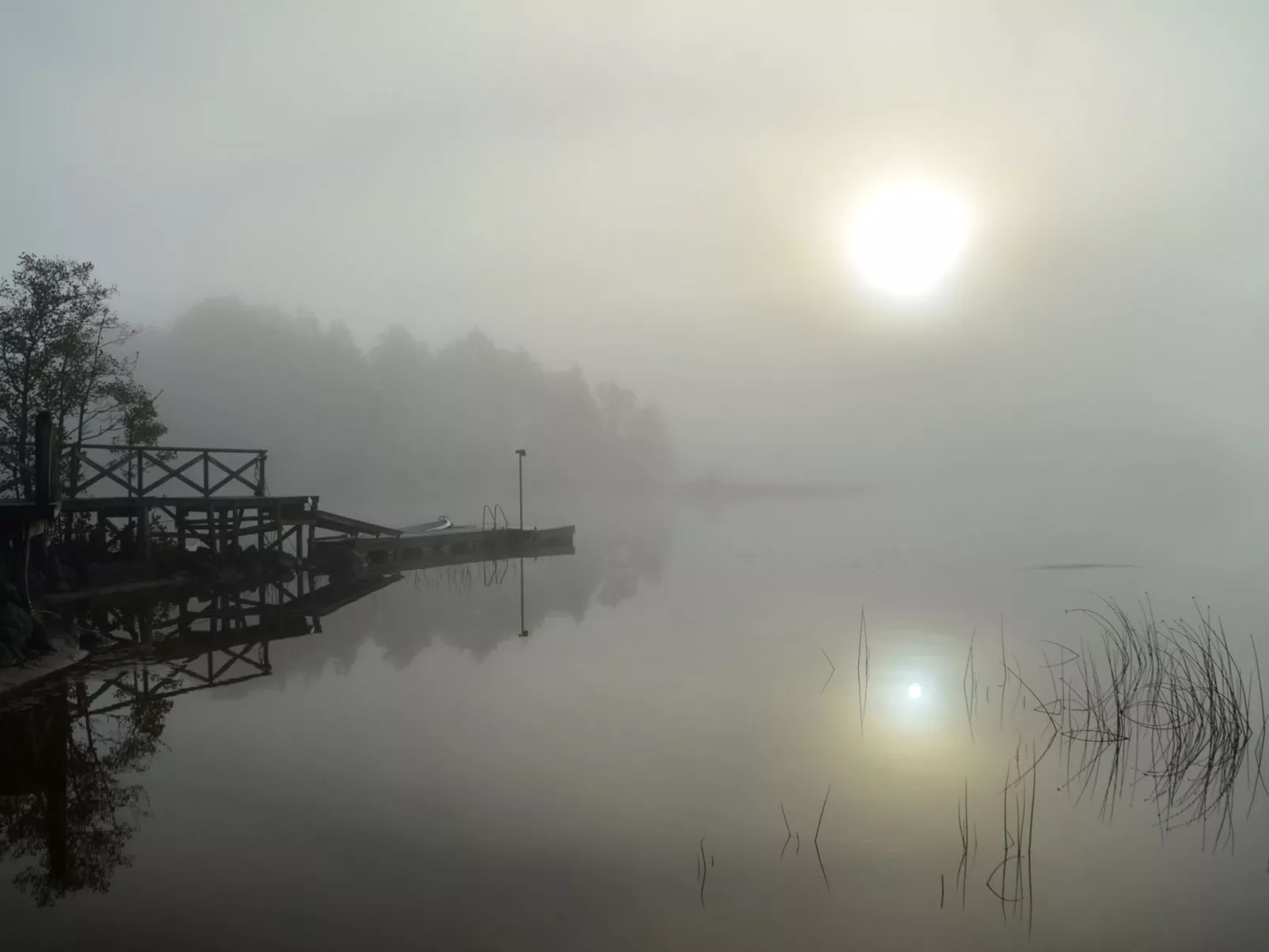 Schwedisches Glück, zwischen Wäldern und einem See-Outside