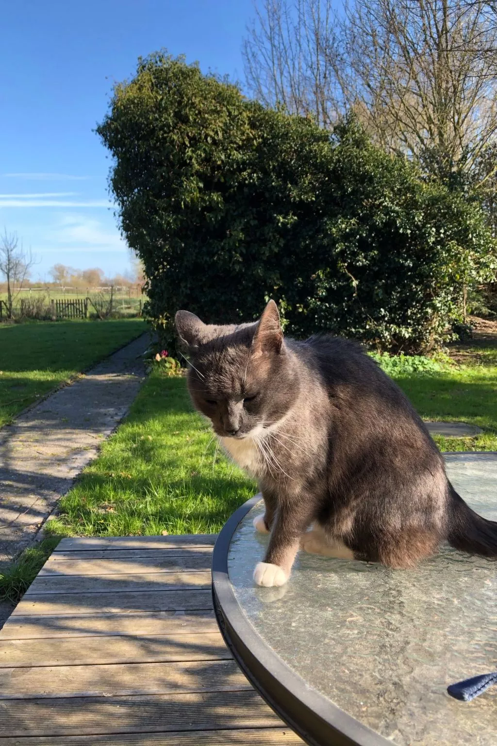 Haus am Reithmoor-Inside