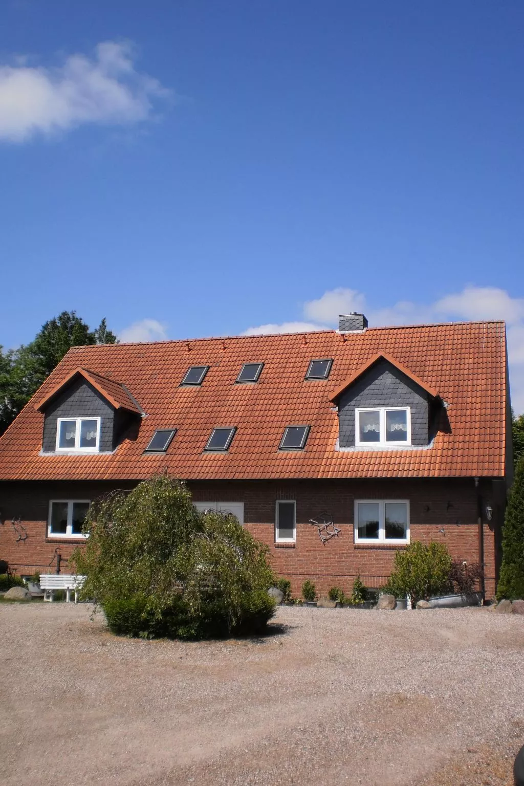 Wohnung in beliebtem Gästehaus mit Fahrradverleih-Dehors