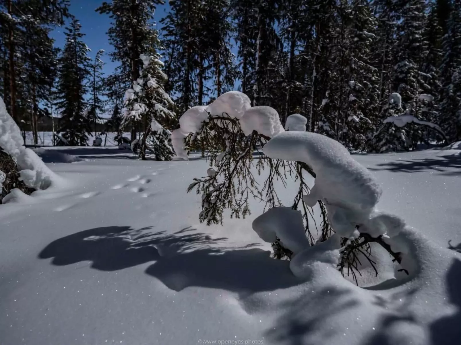 Villa Majringen-Inside