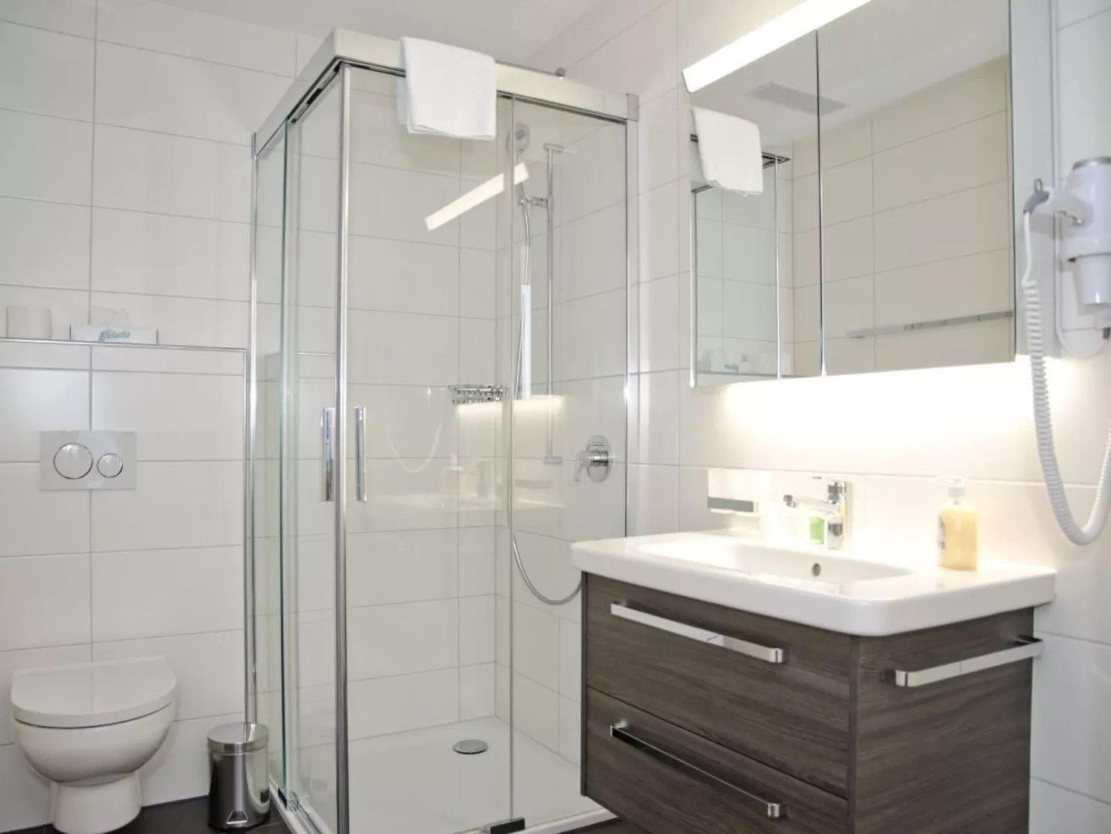 Apartment Anemone-Image-tags.info