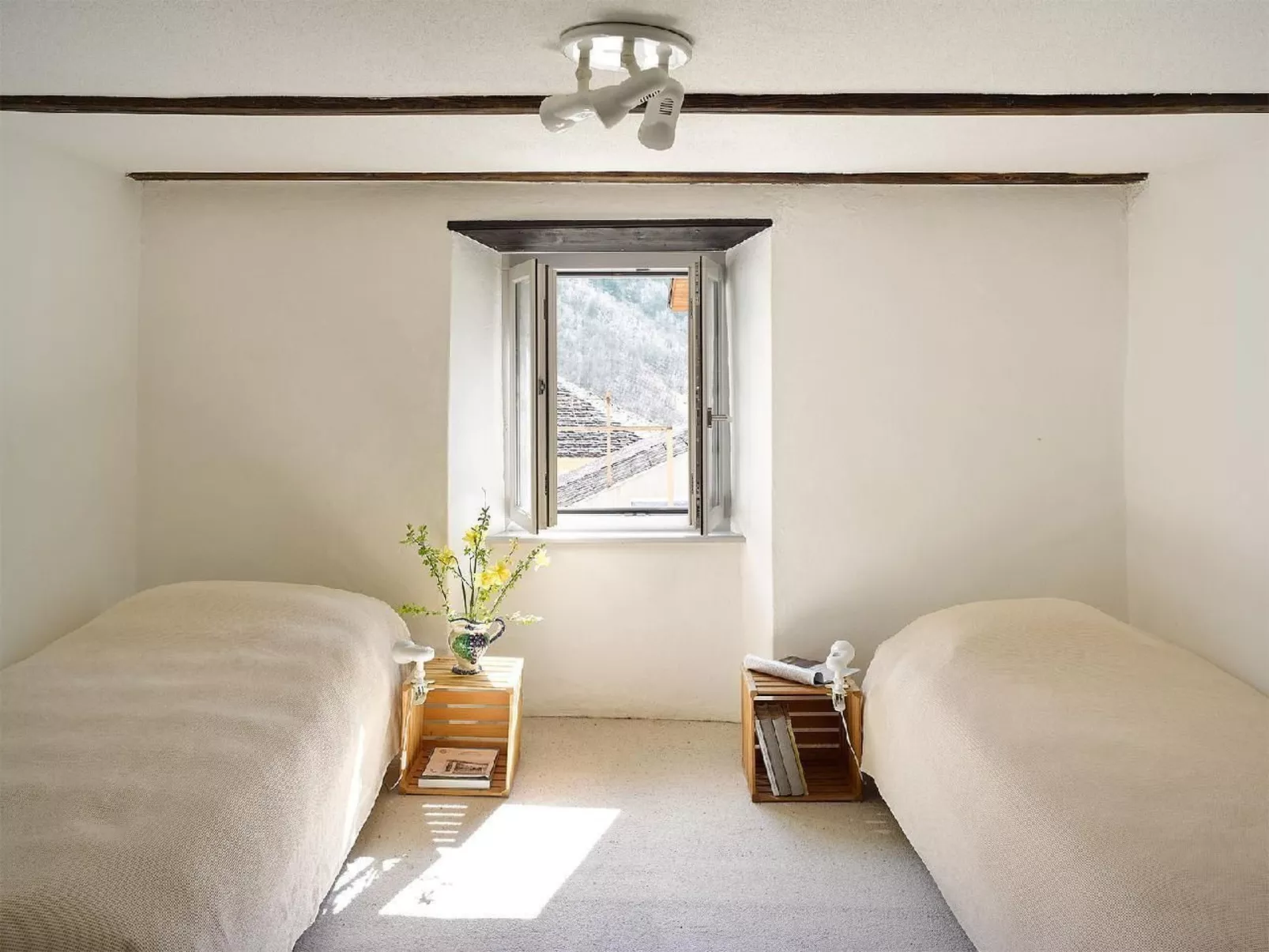 Casa Bertossa-Inside