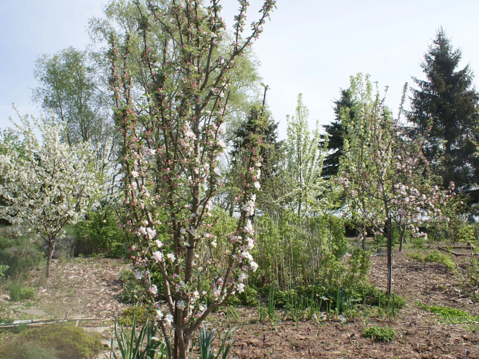 Meer, Landschaft, Stille - Ferienhäuser in den Gärten von Magra-Draußen