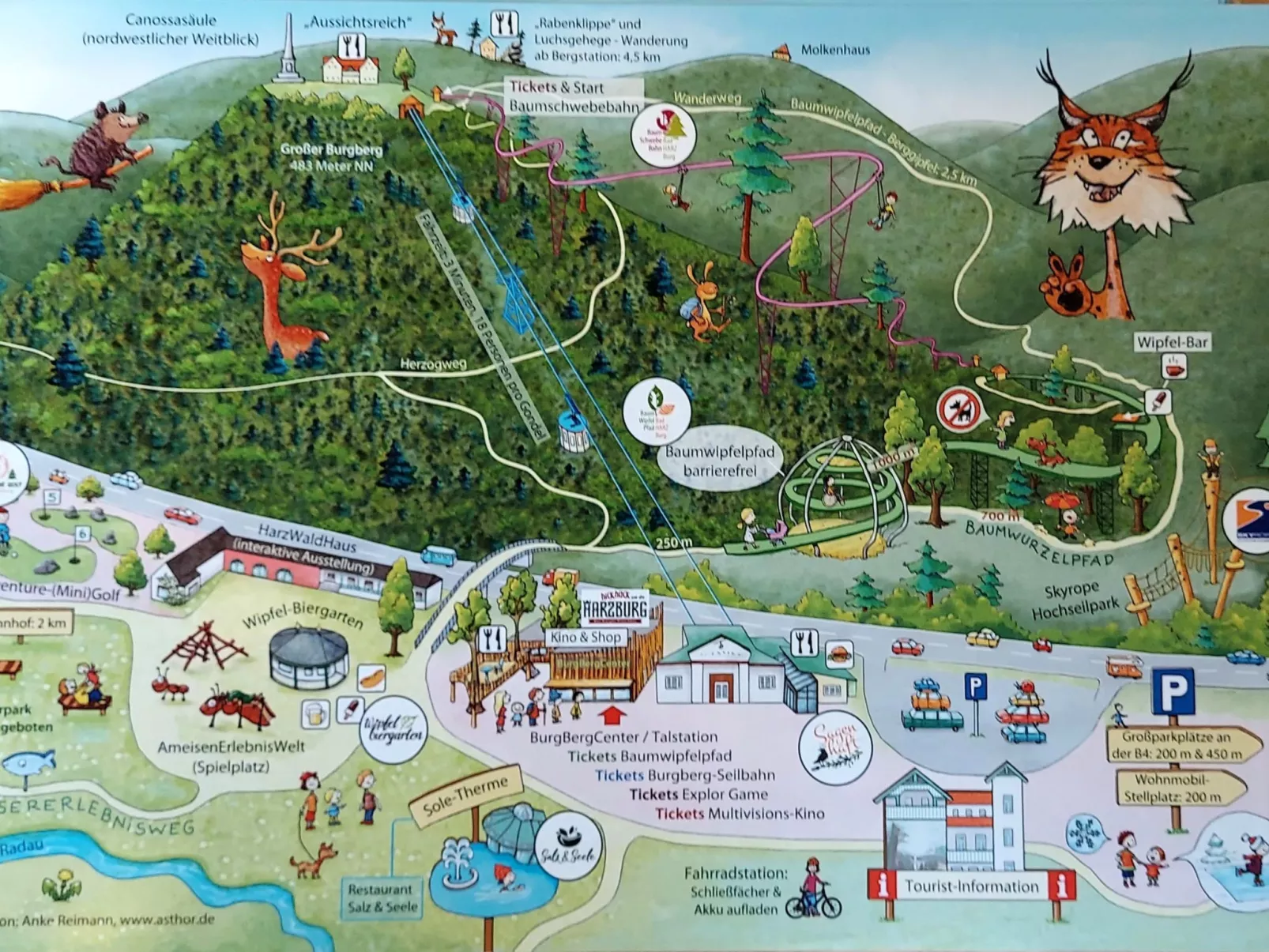 Wanderfalke II-Draußen