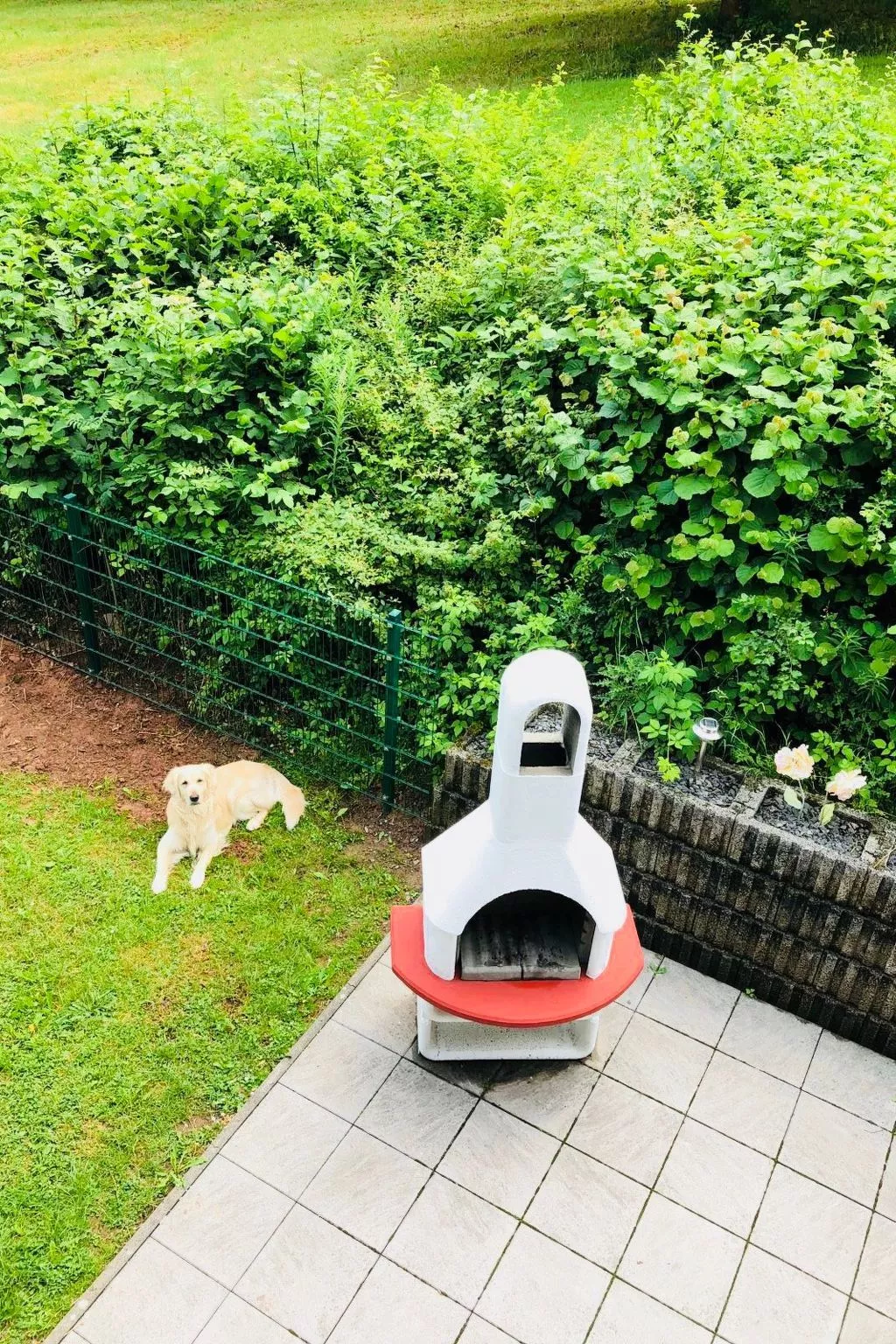 Charly in Kirchheim Seepark-Drinnen