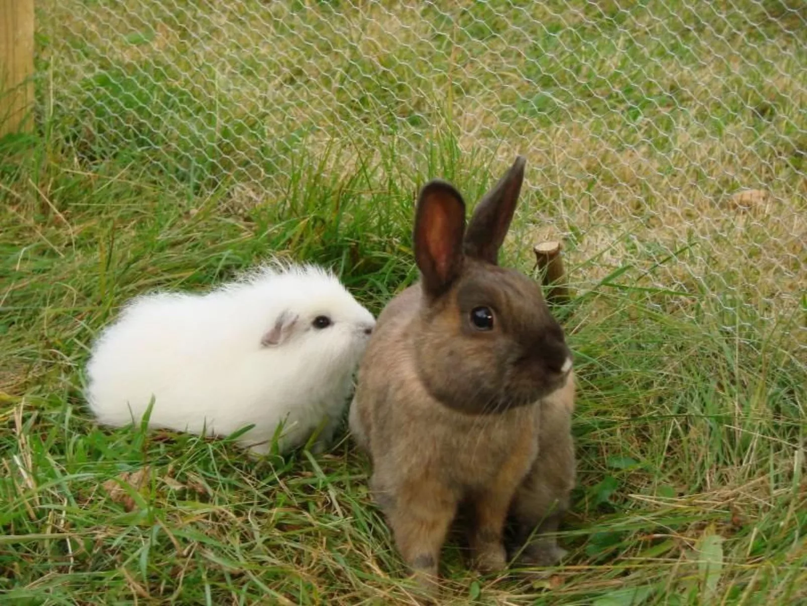 Mit zwei Schlafzimmern und Balkon-Dedans