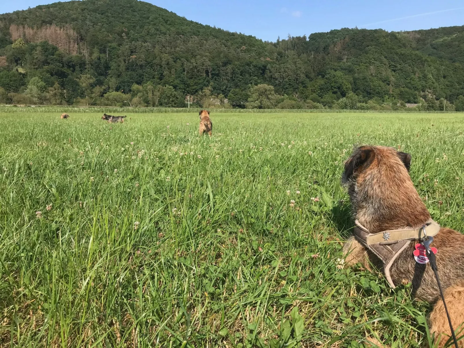 Kellerwald-Image-tags.info