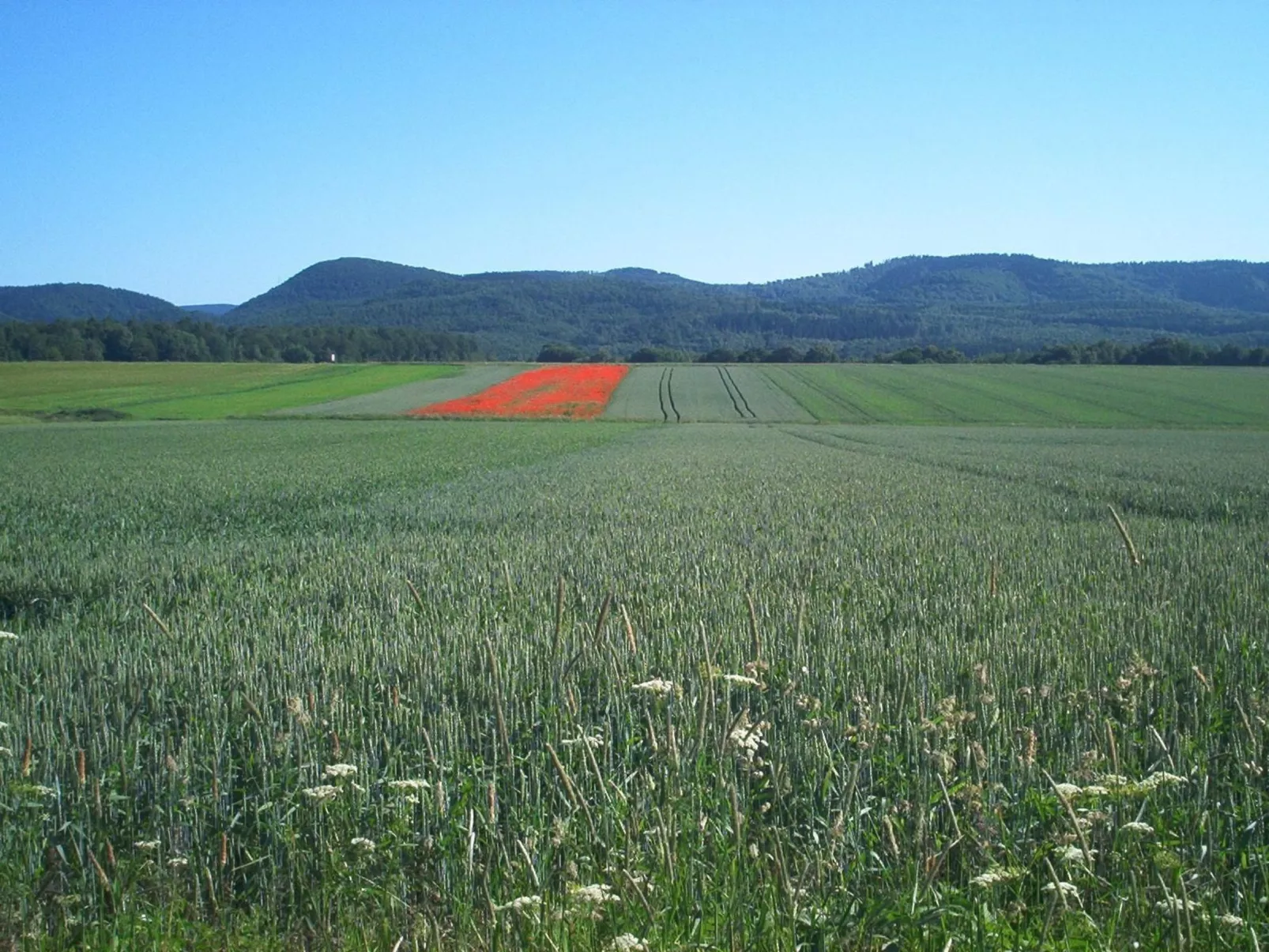 Fewo Stricker 21-Outside