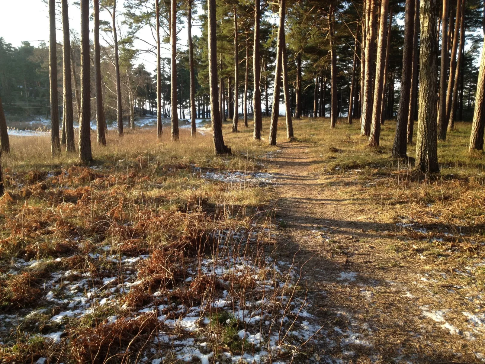 Westküsten-Juwel-Inside