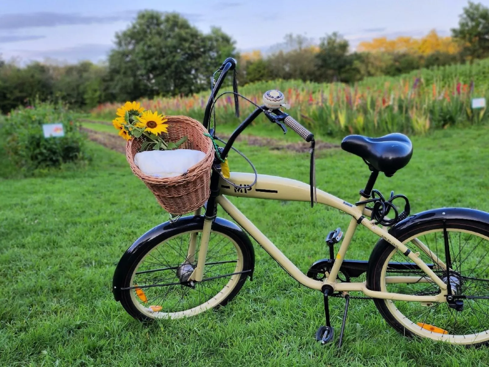 Das Familienreich-Dehors