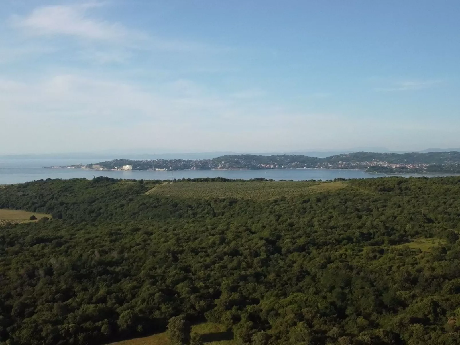 Zweizimmerwohnung mit großer Terrasse in Grupija bei Umag-Dedans