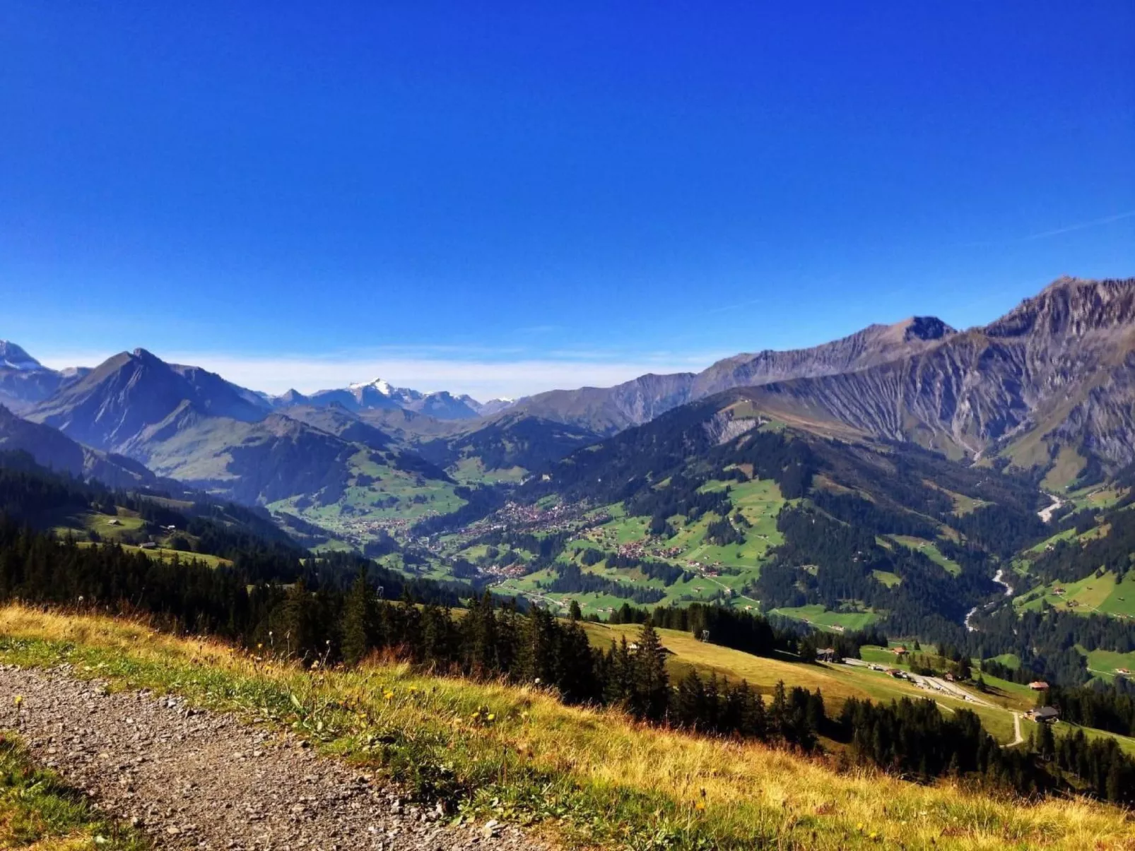 Chalet Bärgblüemli-Inside
