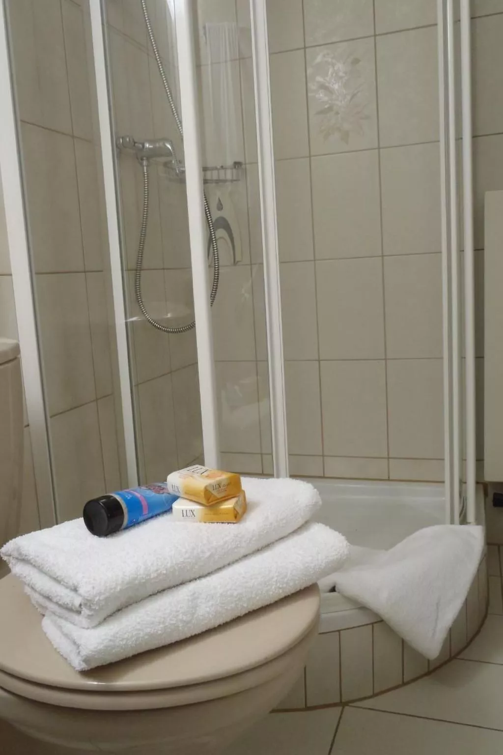 FeWo JUFA Grächen-Dedans