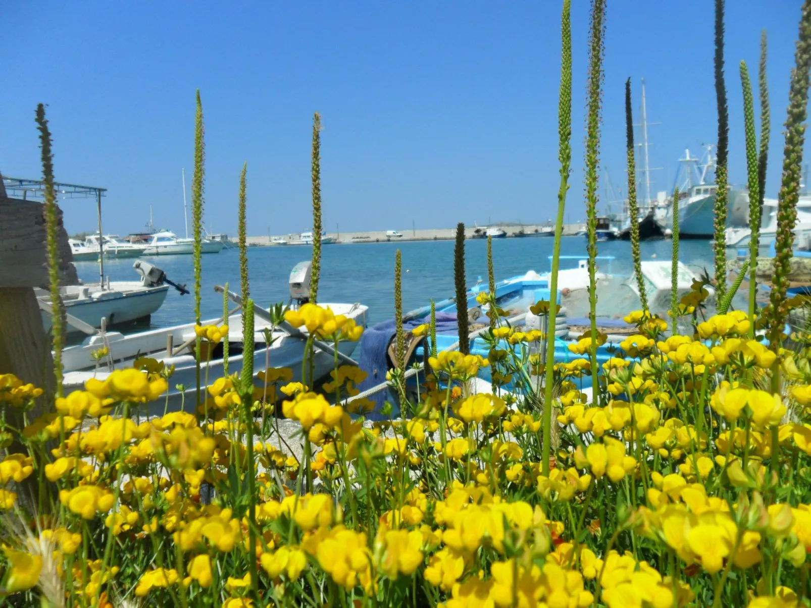 Wohnung Delfin mit Meerblick - TA Leut Agency-Dehors