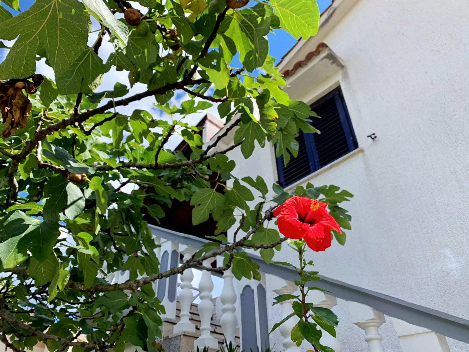 Apartment Horvat-Dedans