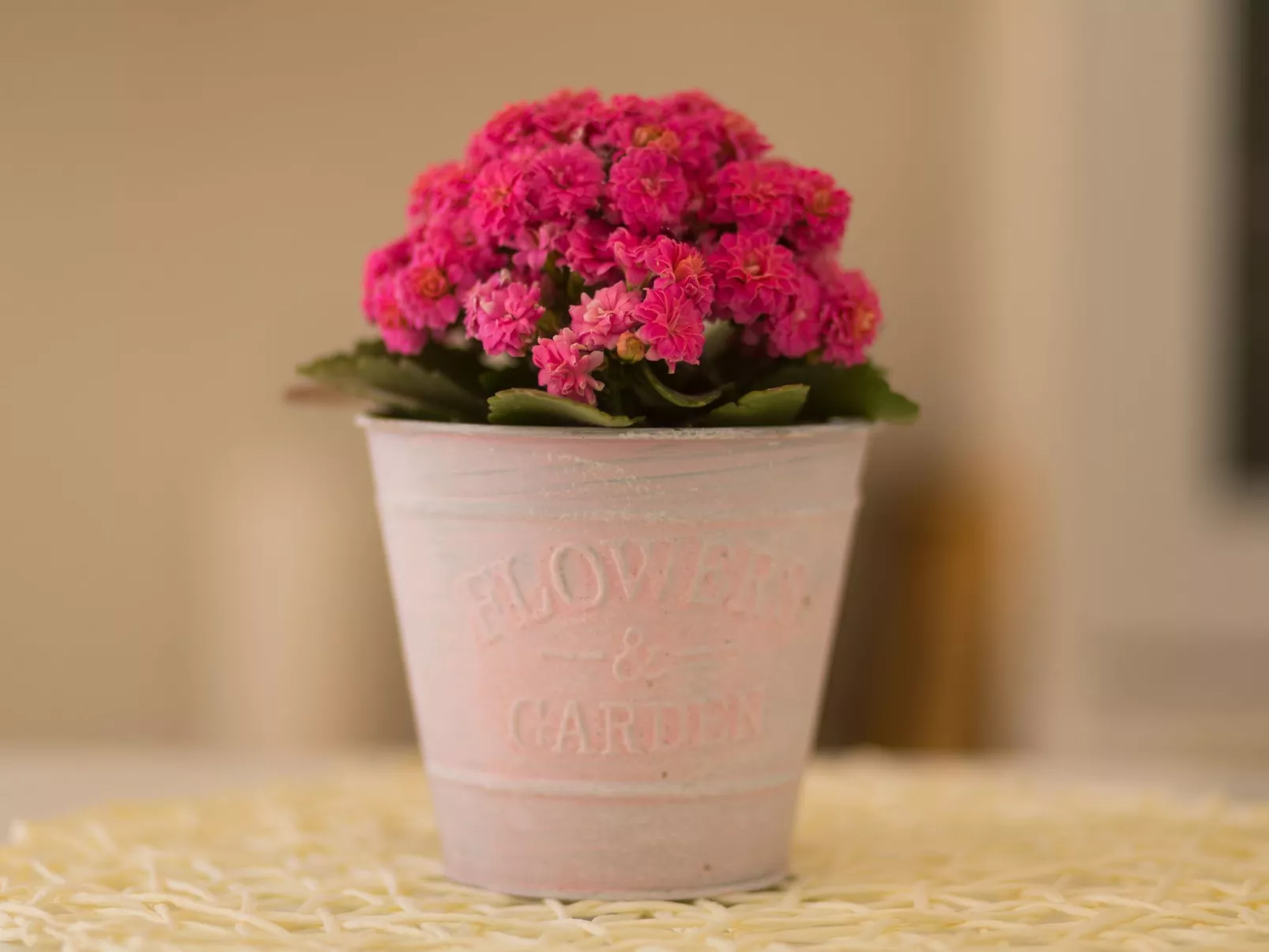 Dalmatinisches Haus in der Altstadt von Split-Inside